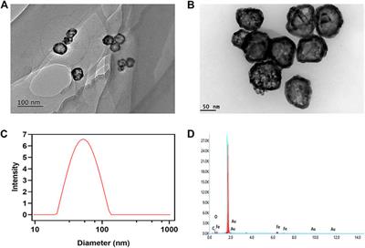 A peroxidase-like magneto-gold nanozyme AuNC@Fe3O4 with photothermal effect for induced cell apoptosis of hepatocellular carcinoma cells in vitro